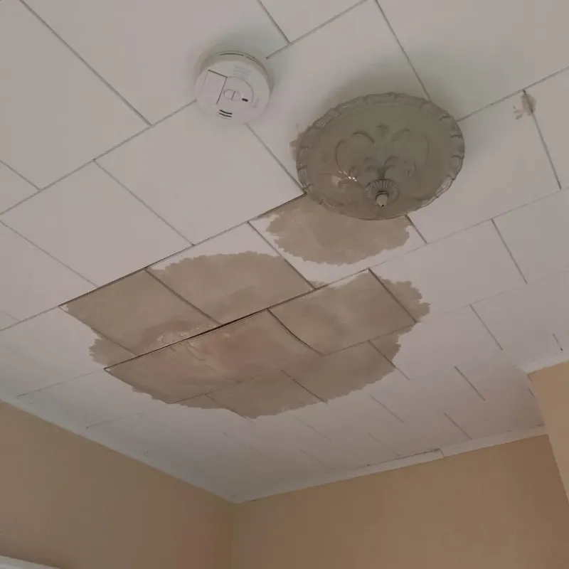 Ceiling Water Damage Repair in Continental, OH