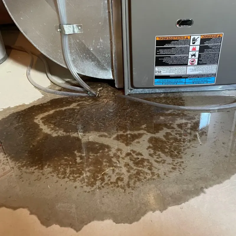 Pipe Burst and Leak Restoration in Continental, OH