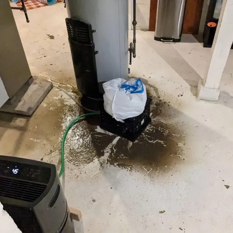Sewage Backup Cleanup Service in Continental, OH
